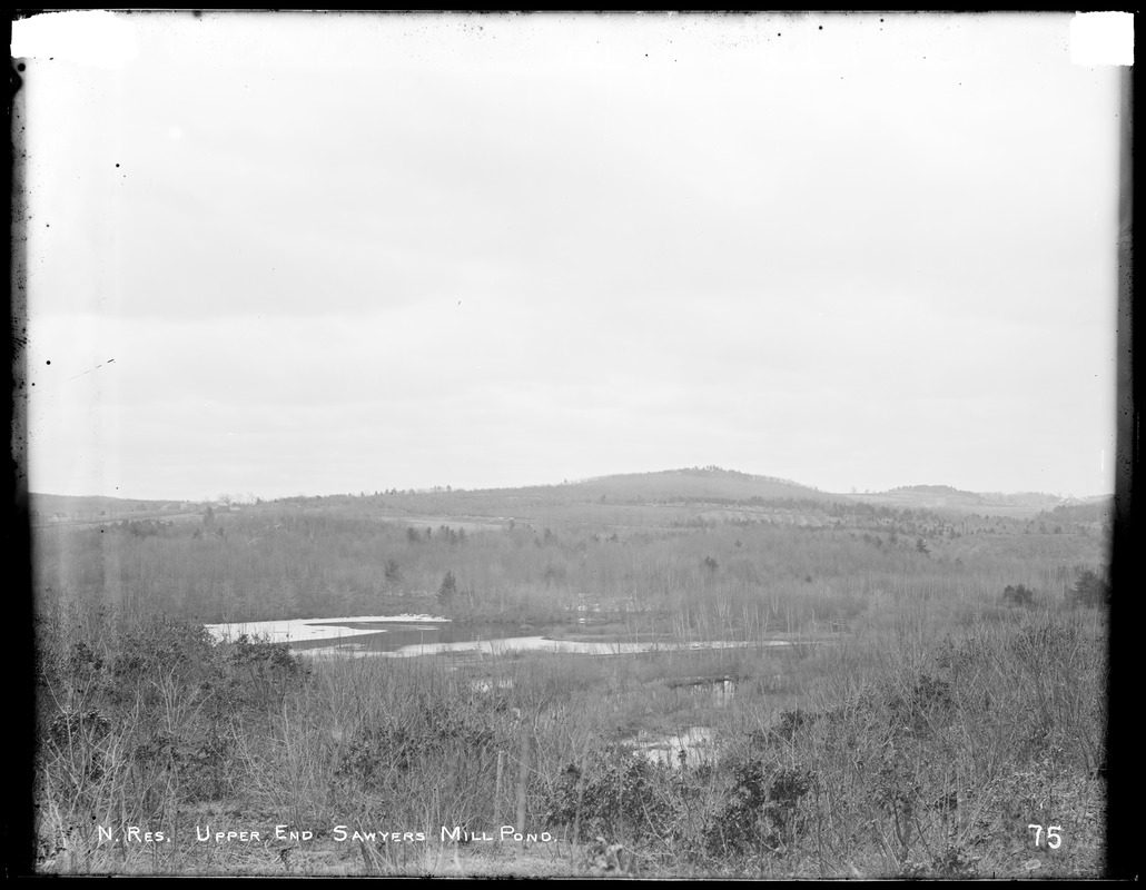 Wachusett Reservoir, upper end of Sawyer's Mill Pond, from north bank, Boylston, Mass., Apr. 6, 1896