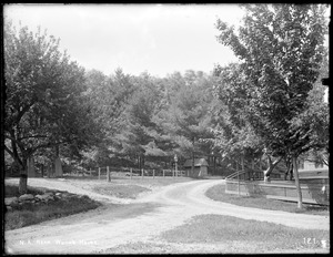Wachusett Aqueduct, David F. Wood's house, grove near house, northwest from crossroads, Northborough, Mass., May 27, 1896