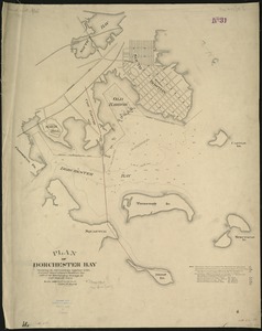 Plan of Dorchester Bay showing its surroundings together with current observations to illustrate the effect of discharging sewage at cow pasture point