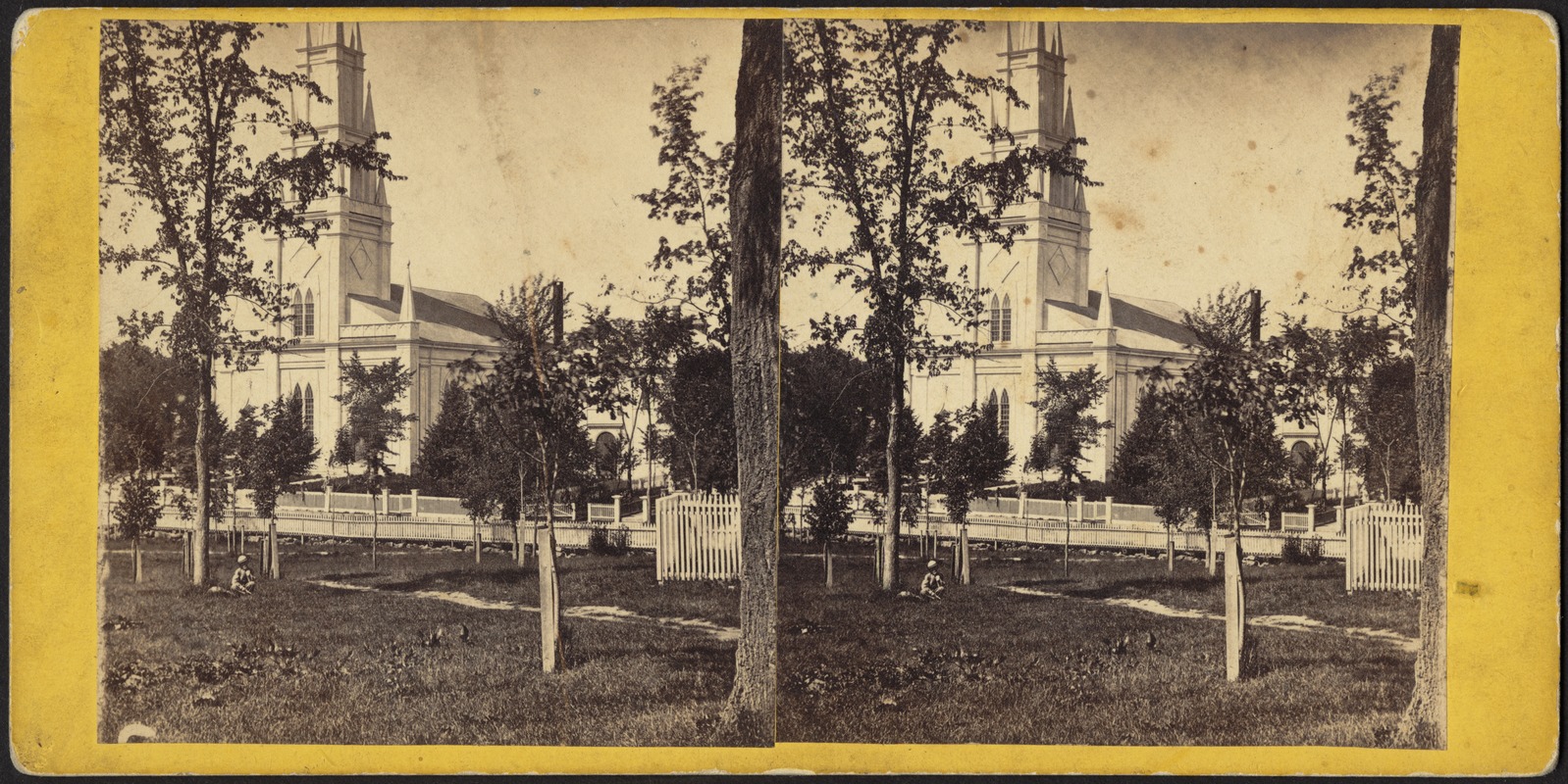 Park with young trees and church beyond