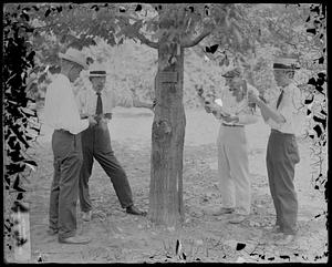 Men gathered around tree trunk