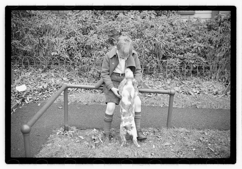 Idahurst Kennels