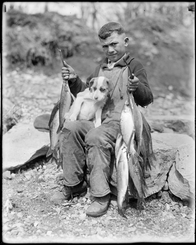 Boy and dog go fishing in Raynham, Taunton River
