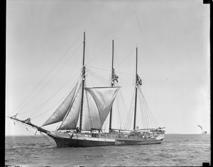 Lumber schooner 'Minas Prince'