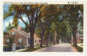 Typical street in a Cape Cod Village, Cape Cod, Mass.