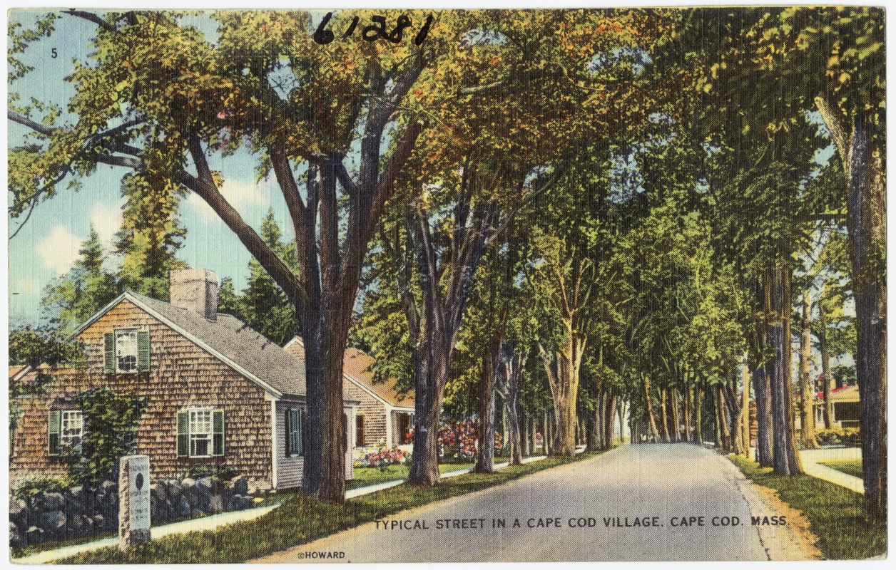 Typical street in a Cape Cod Village, Cape Cod, Mass.