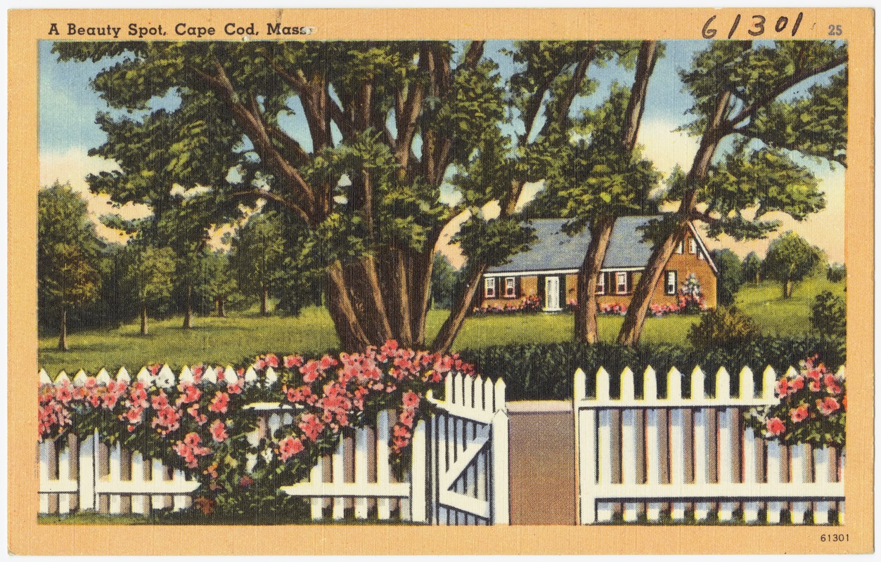 A beauty spot, Cape Cod, Mass.