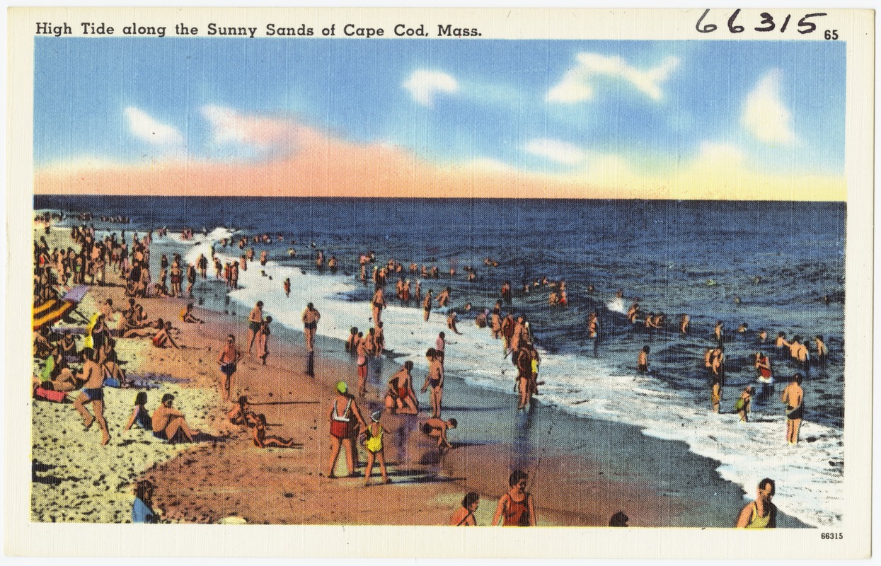 High tide along the sunny sands of Cape Cod, Mass.