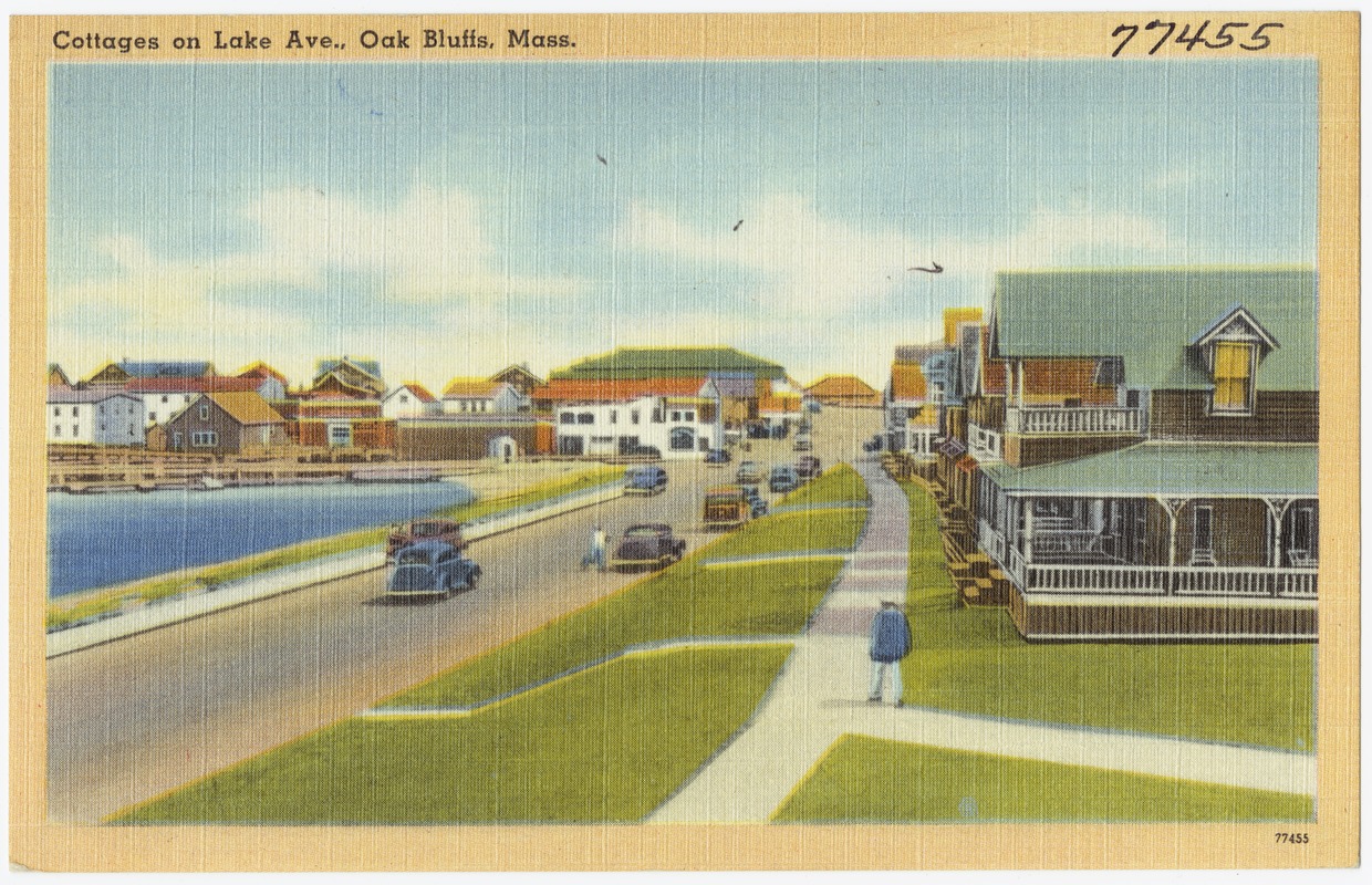 Cottages on Lake Ave., Oak Bluffs, Mass. Digital Commonwealth
