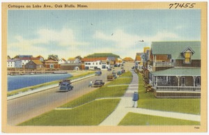 Cottages on Lake Ave., Oak Bluffs, Mass.