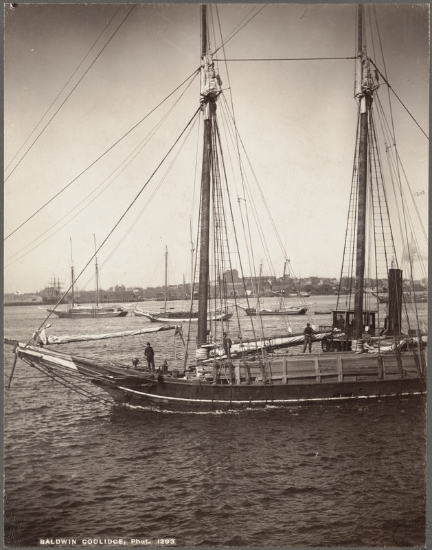 Boston, Massachusetts. Harbor view about 1880, looking toward East Boston