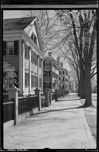 Street scene