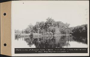 Shore line of Beaver Lake, Ware, Mass., Jun. 23, 1936