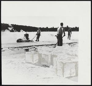 Mid-Winter Harvest - Three workers harvest 16-inch ice cakes from Lake Winnipesaukee, N. H., on 10th day of cold snap. The “ice crop” will be transported by truck to icehouse of a boy’s camp nine miles away to provide refrigeration and iced drinking water-during next summer’s heat waves.