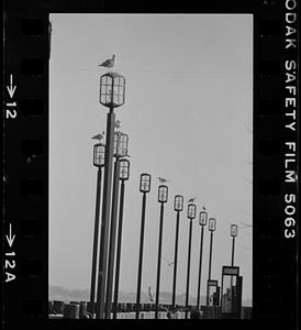 Boardwalk