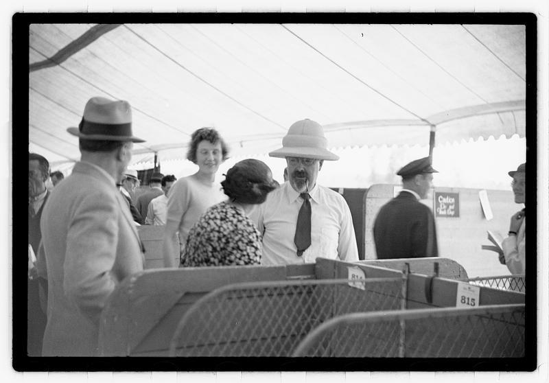 Dog show municipal hunt club