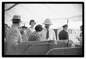 Dog show municipal hunt club
