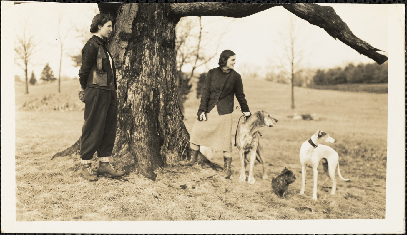 Two women stand at the base of a large old tree with three dogs