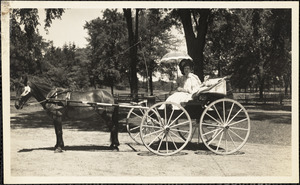 A woman sits in a four-wheeled carriage, its hood folded down, drawn by a dark-colored horse