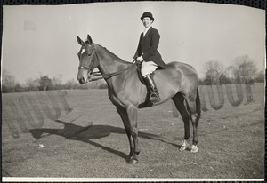 A woman riding attire sits in a saddle atop a sleek, well-groomed horse