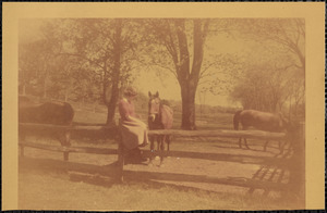 A woman sits on the top rail of a split-rail fence and looks  at a dark-colored horse who stands in a field or paddock just beyond the fence