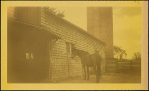 A dark-colored horse wearing a halter stands in a fenced paddock or corral next to a shingled structure