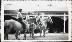 Three women sit astride three light-colored bridled horses, bareback