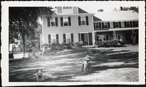 Two dogs stand in front of a large, three-story house