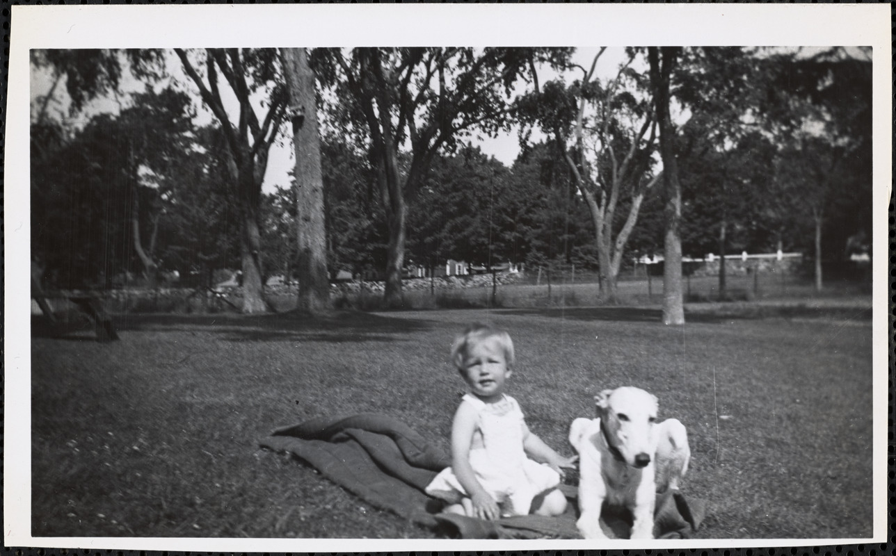 A small child sits with a greyhound in an open expanse of grass on a partially folded, dark-colored blanket