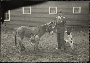 A man stands holding the halter of a donkey and the muzzle of a dog with a second dog and donkey foal nearby