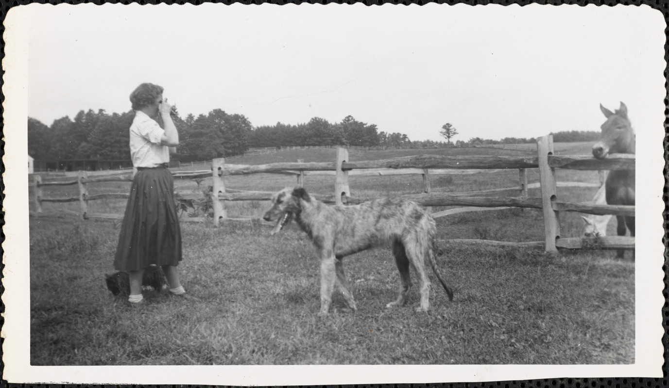 A very large, light-colored dog stands near a woman