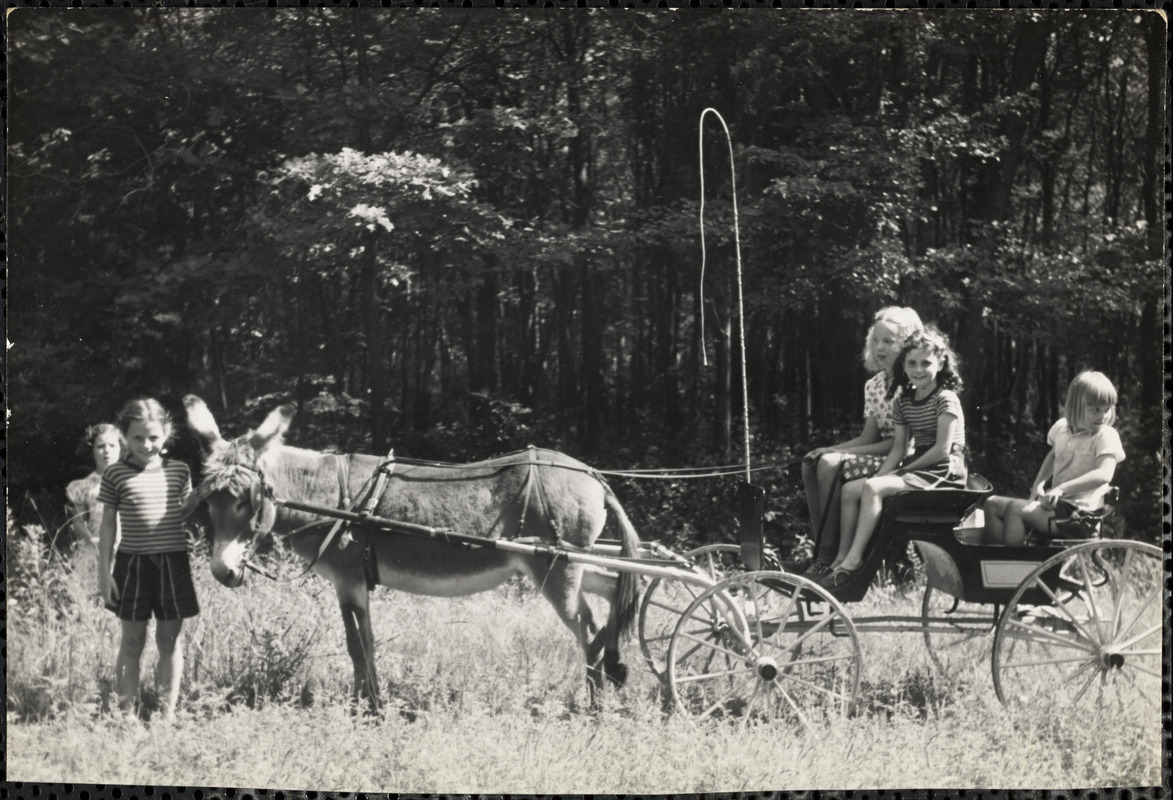 A group of five girls pose in and around a four-wheeled carriage pulled by  a donkey - Digital Commonwealth