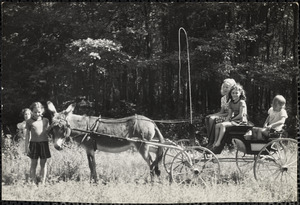 A group of five girls pose in and around a four-wheeled carriage pulled by a donkey