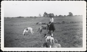 A woman stands in a field with four dogs