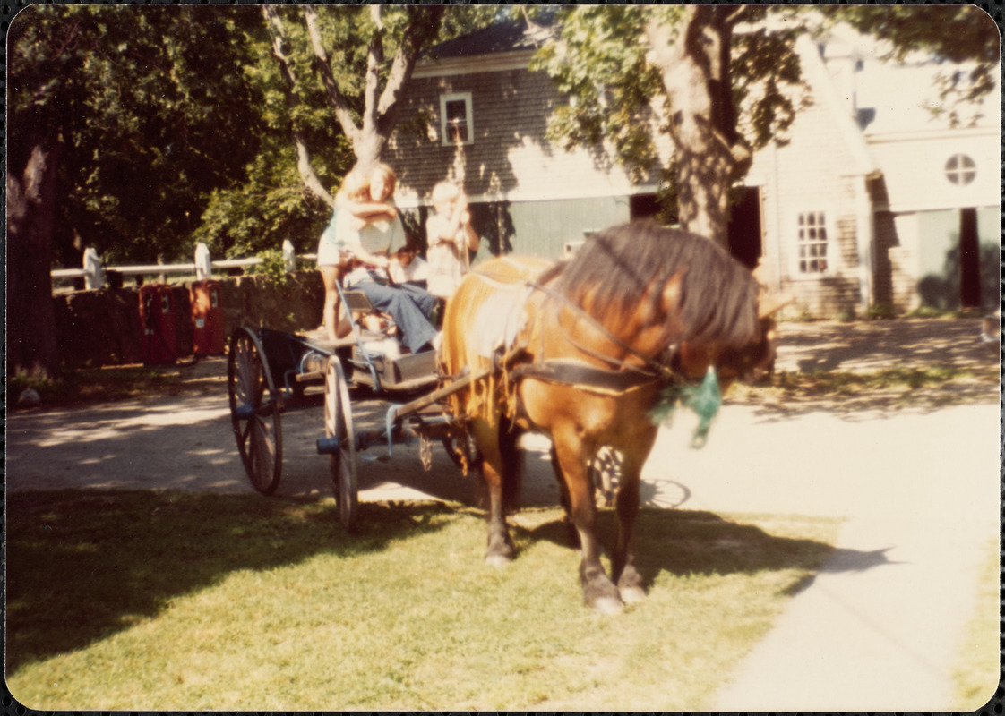 Probably Wexler children and adult, all sitting in flatbed carriage or cart drawn by a horse