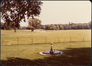 Small fountain in open grassy area