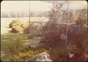 Large outdoor cage inside of which are birds sitting on tree limbs