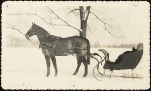 Winter scene with horse harnessed to sleigh and snow covering ground