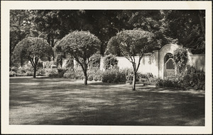 Shade-dappled lawn with three trimmed trees mid-ground and white wall with archway and gate behind