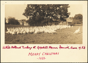 White Holland turkeys at Appleton Farms, Ipswich, Mass. 1933. Merry Christmas -1933-