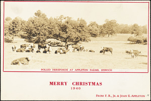 Polled Herefords at Appleton Farms, Ipswich. Merry Christmas, 1940, from F.R., Jr. & Joan E. Appleton