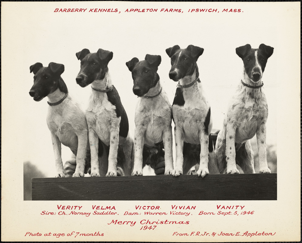 Barberry Kennels, Appleton Farms, Ipswich, Mass. Merry Christmas 1947,  from J.R., Jr. & Joan E. Appleton