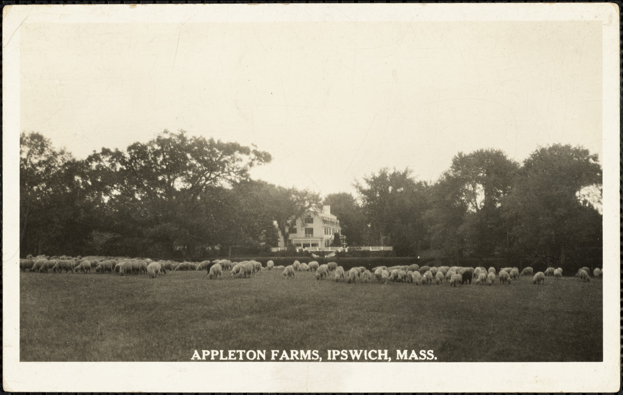 Appleton Farms, Ipswich, Mass.
