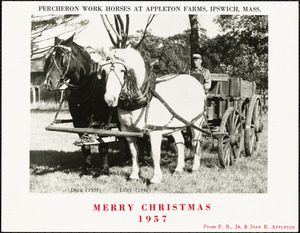 Percheron work horses at Appleton Farms, Ipswich, Mass. Merry Christmas, 1957, from F. R., Jr., & Joan E. Appleton