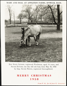 Mare and foal at Appleton Farms, Ipswich, Mass. Merry Christmas, 1958, from F. R., Jr. & Joan E. Appleton