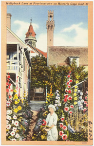 Hollyhock Lane at Provincetown on Historic Cape Cod