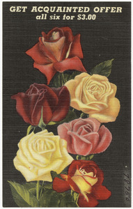 Get acquainted offer all six for $3.00