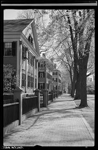 Street scene