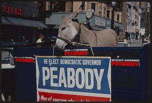 Donkey with "Re-elect Democratic Governor Peabody" sign