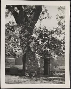 Small building next to a tree